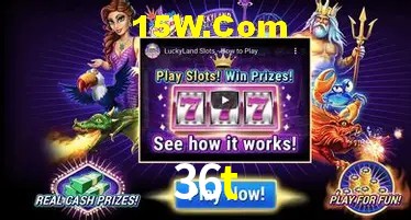 36t,36t.com